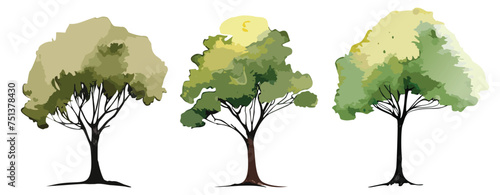 Set of three watercolour painted trees