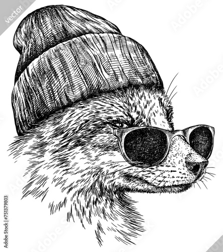 Vintage engraving isolated fox glasses dressed fashion set illustration ink sketch. Wild animal background foxy animal silhouette sunglasses hipster hat art. Black and white hand drawn vector image