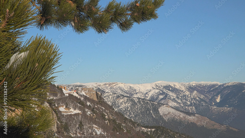 A pine branch on the background of snow-capped mountains A pine branch on the background of snow-capped mountains