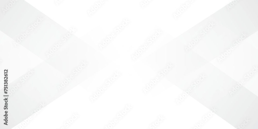 Fototapeta premium Abstract GREY white Geometric vector design background.