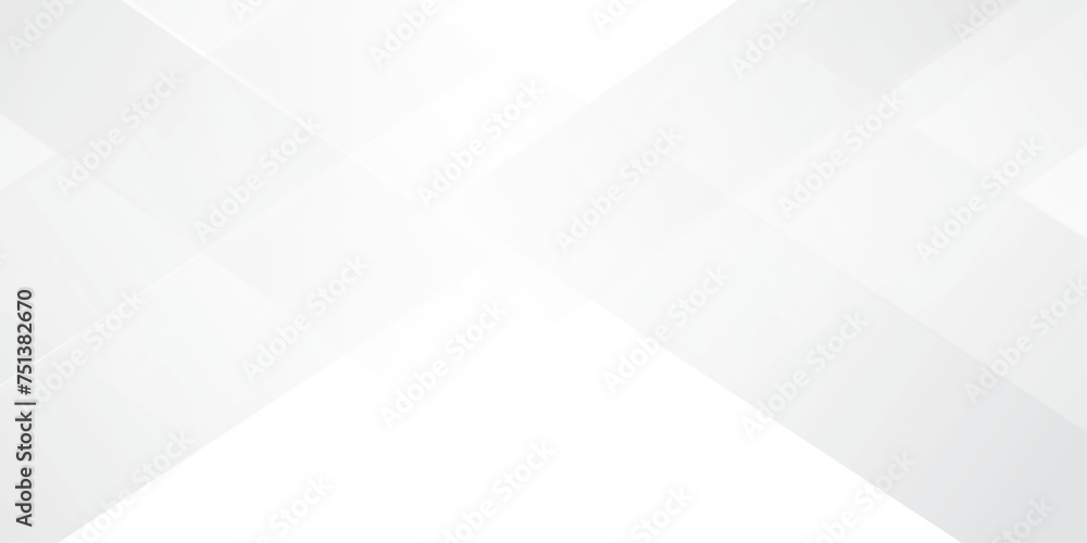 Fototapeta premium Abstract GREY white Geometric vector design background.