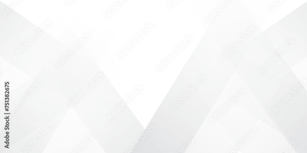 Obraz premium Abstract GREY white Geometric vector design background.