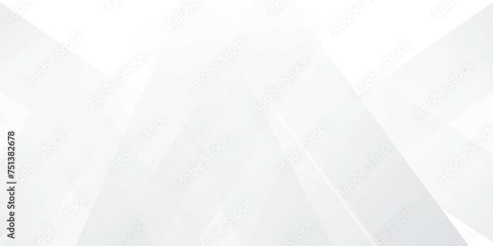 Obraz premium Abstract GREY white Geometric vector design background.