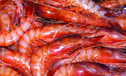 Fototapeta Naklejka Na Ścianę i Meble -  Recently Fished Red Shrimp, Fish Market, Mediterranean Sea, Aguilas, Murcia, Spain, Europe