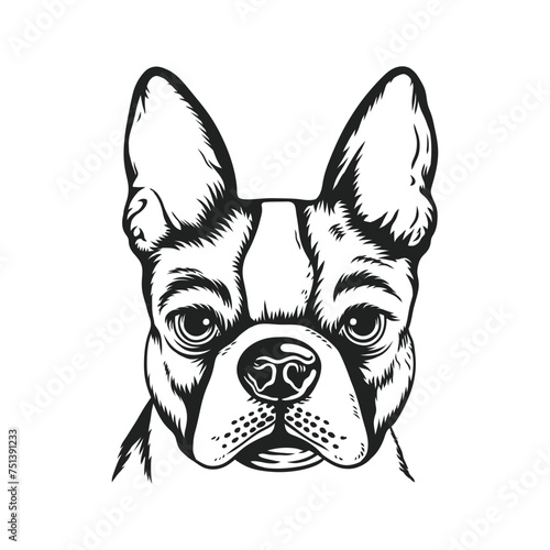 A realistic black and white vector illustration of a French Bulldog © esa