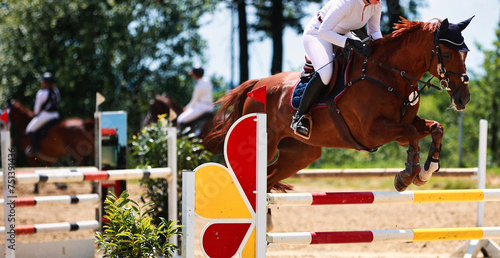 Foto Horse, showjumping horse, close-ups in the show jumping competition