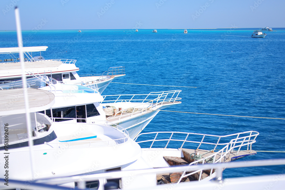 Fototapeta premium A port with moored yachts on the seashore