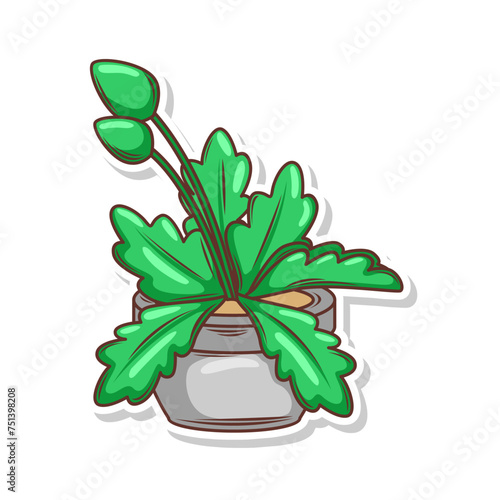 Home plant cartoon style. potted plant isolated on white