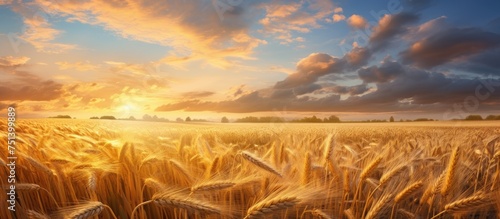 The painting depicts a vibrant sunset casting a golden glow over a vast wheat field. The wheat sways in the wind as the sun dips below the horizon, creating a warm and serene atmosphere. © pngking