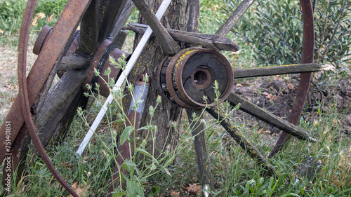 old wagon wheel in the woods