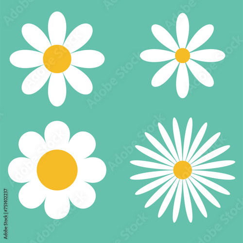 Set of daisy flowers icons isolated on Green background vector illustration.
