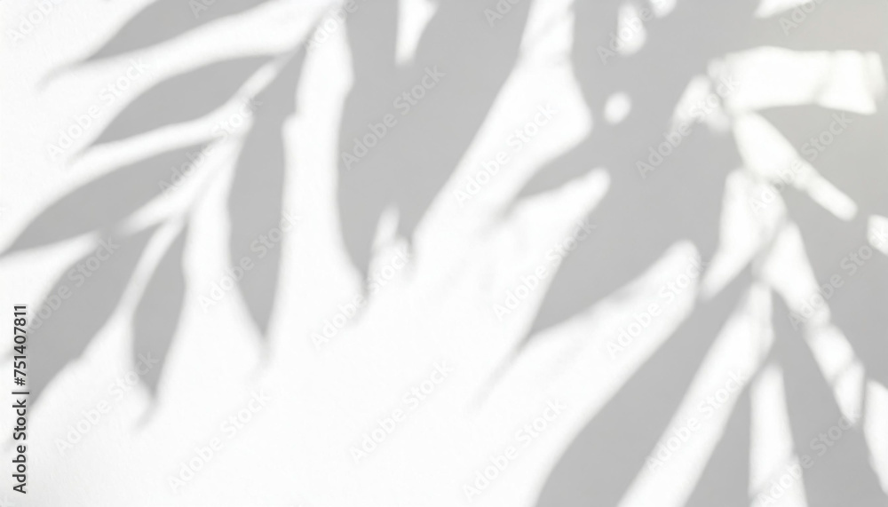 abstract shadow of leaves on a white wall overlay effect for photo mock up product wall art design presentation abstract shadow of leaves on a white wall overlay effect for photo mock up product wall art design presentation