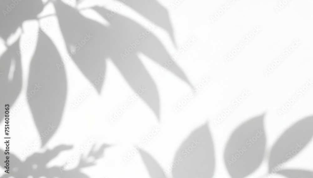 abstract shadow of leaves on a white wall overlay effect for photo mock up product wall art design presentation abstract shadow of leaves on a white wall overlay effect for photo mock up product wall art design presentation
