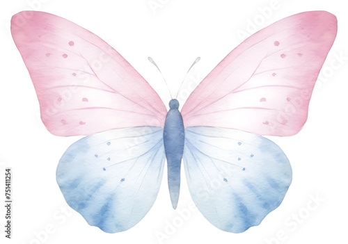 Butterfly animal insect petals are pink and blue on a transparent background © Rizal