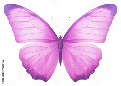PNG Violet butterfly animal insect purple.
