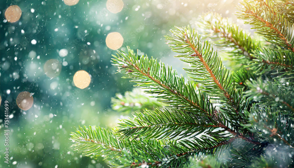 Beautiful green fir tree branches close up. Christmas and winter concept Beautiful green fir tree branches close up. Christmas and winter concept