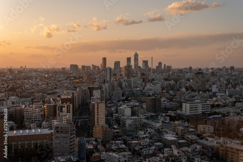 東京都文京区後楽園から見た東京の夕方の都市の景色