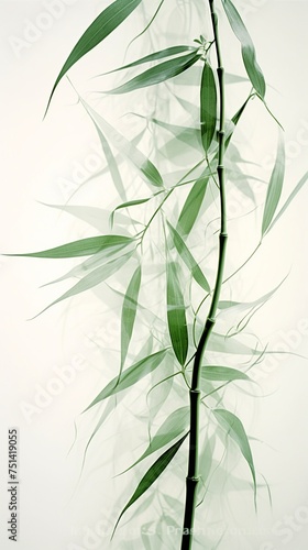 Abstract white green bamboo leaves on soft background