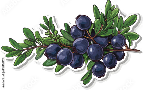 Sticker featuring Crowberries isolated on transparent Background photo