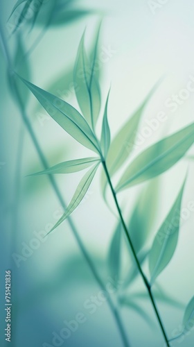 Abstract white green bamboo leaves on soft background