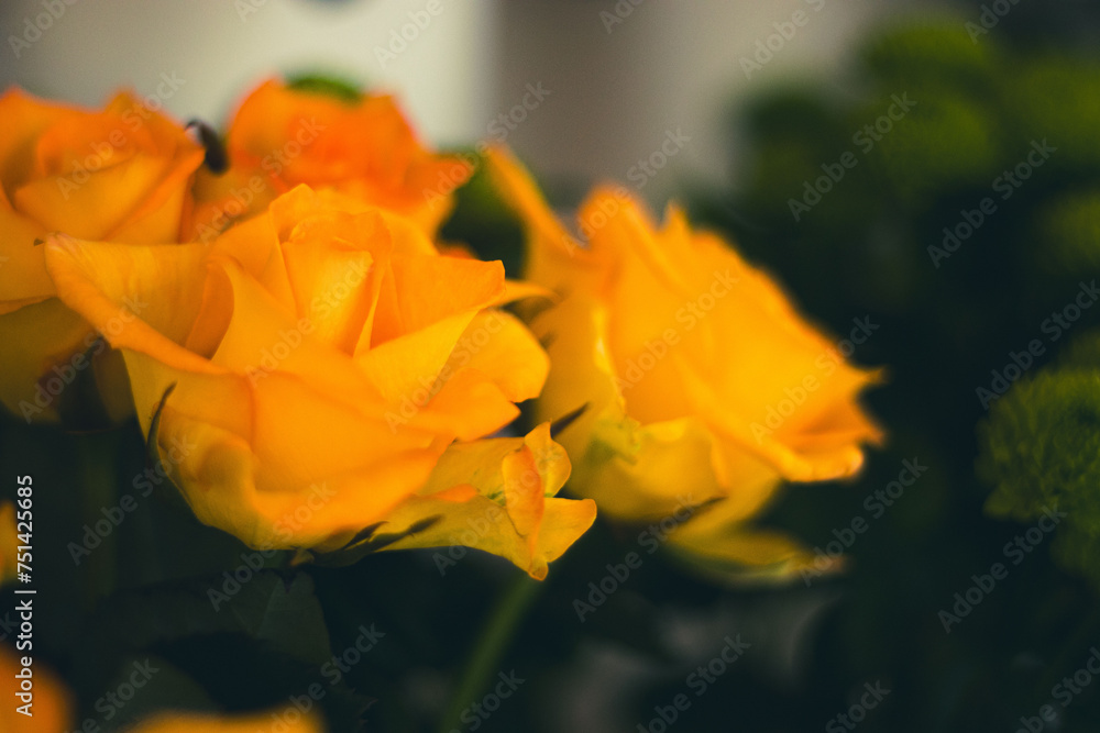 Fototapeta premium Piękne kwiaty w kolorystyce, kolorach