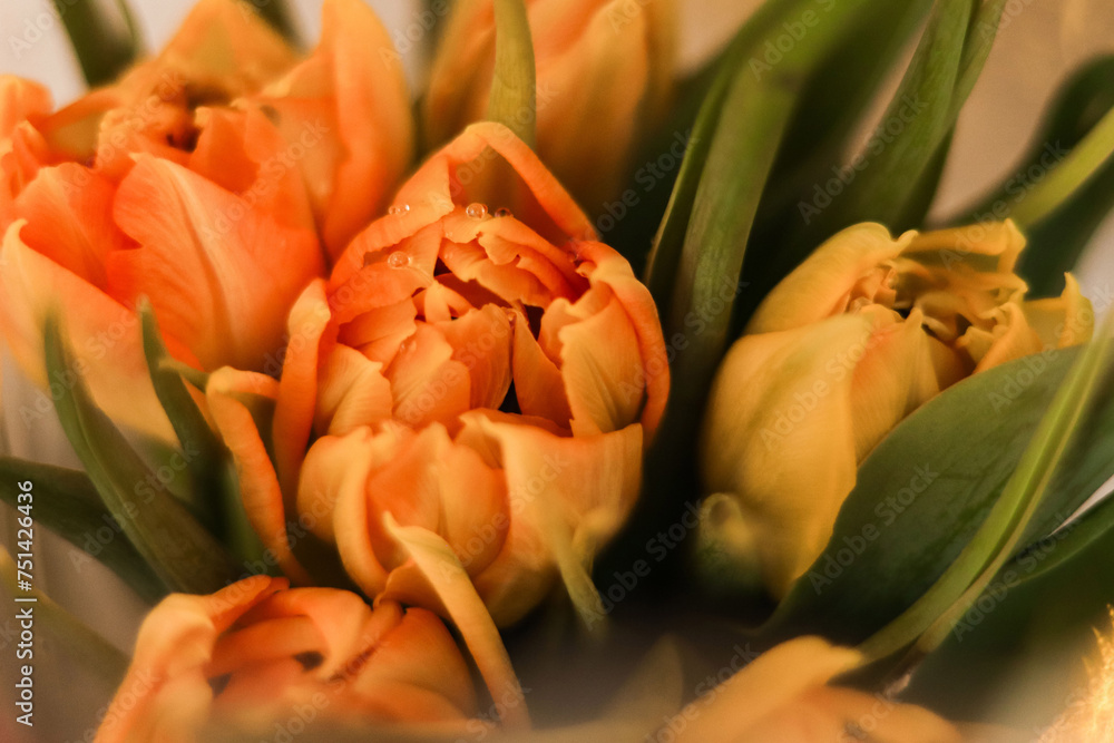 Obraz premium Piękne kwiaty w kolorystyce, kolorach