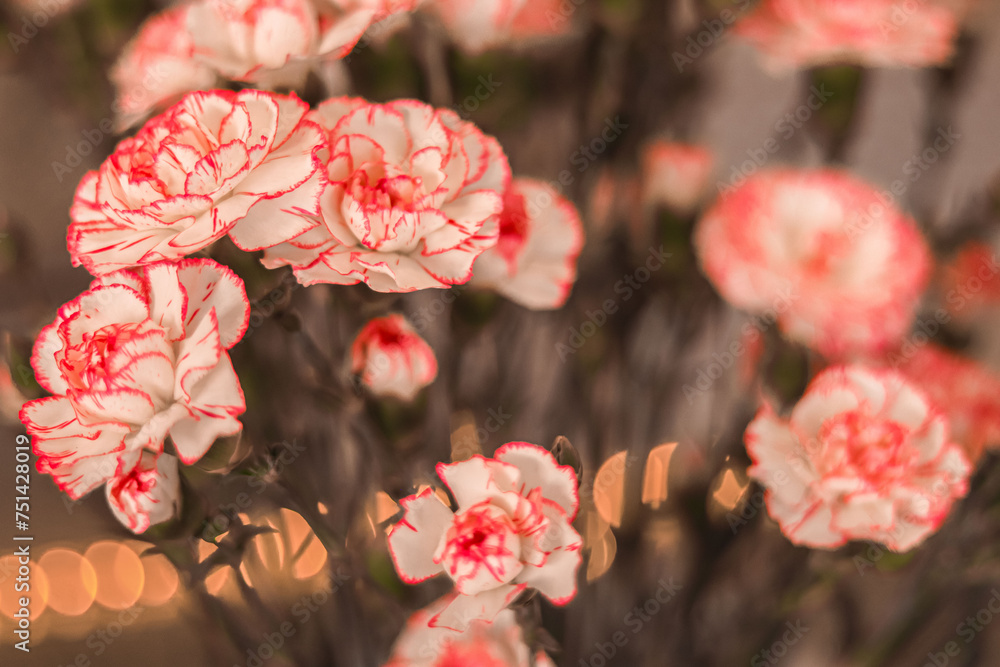 Naklejka premium Piękne kwiaty w kolorystyce, kolorach