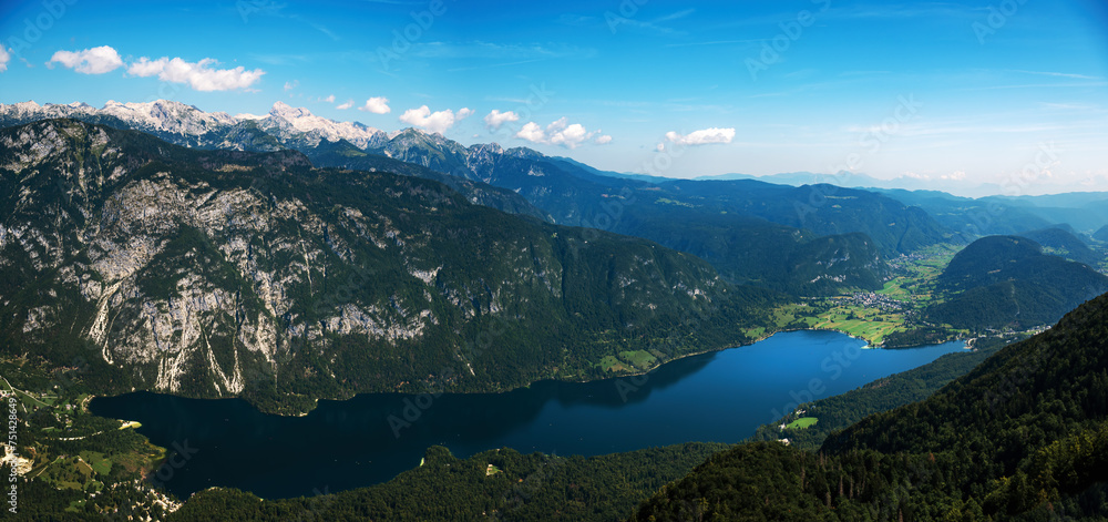 Lake Bohinj in summer, famous travel destination in Triglav national park in Slovenia, aerial shot