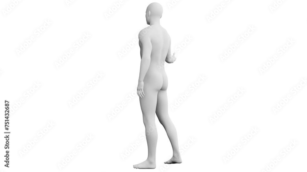 Man Standing and Gesturing. 3D Model. 360 Degrees rotation (turntable). Isolated Man Standing and Gesturing. 3D Model. 360 Degrees rotation (turntable). Isolated