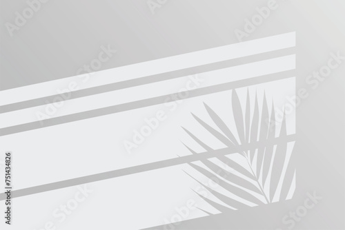 shadow of window with palm plant on white color wall background. Used for backgrounds, cardboards, tropic concepts, autumn for product presentation podium and mockup. Editable. EPS 10