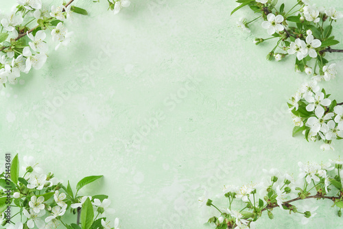 Spring Easter background. Passover blooming white apple or cherry blossom on green background. Happy Passover background. World environment day. Easter, Birthday, womens day holiday. Top view Mock up. © kasia2003