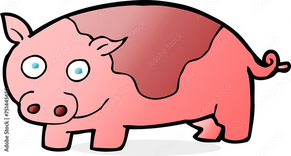 cartoon pig cartoon pig