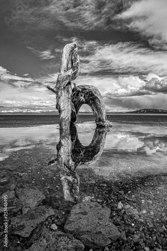 Reflections
