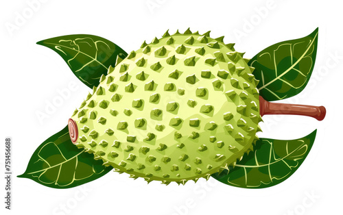 Sticker of Soursop isolated on transparent Background