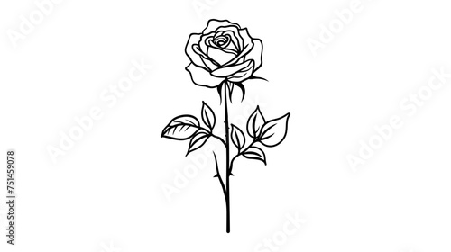 rose flower icon vector illustration on white background