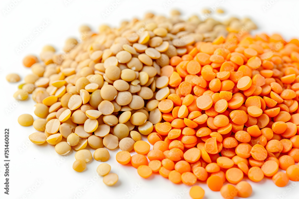 Fresh lentils arranged neatly on a white surface, symbolizing nutritious and versatile legumes