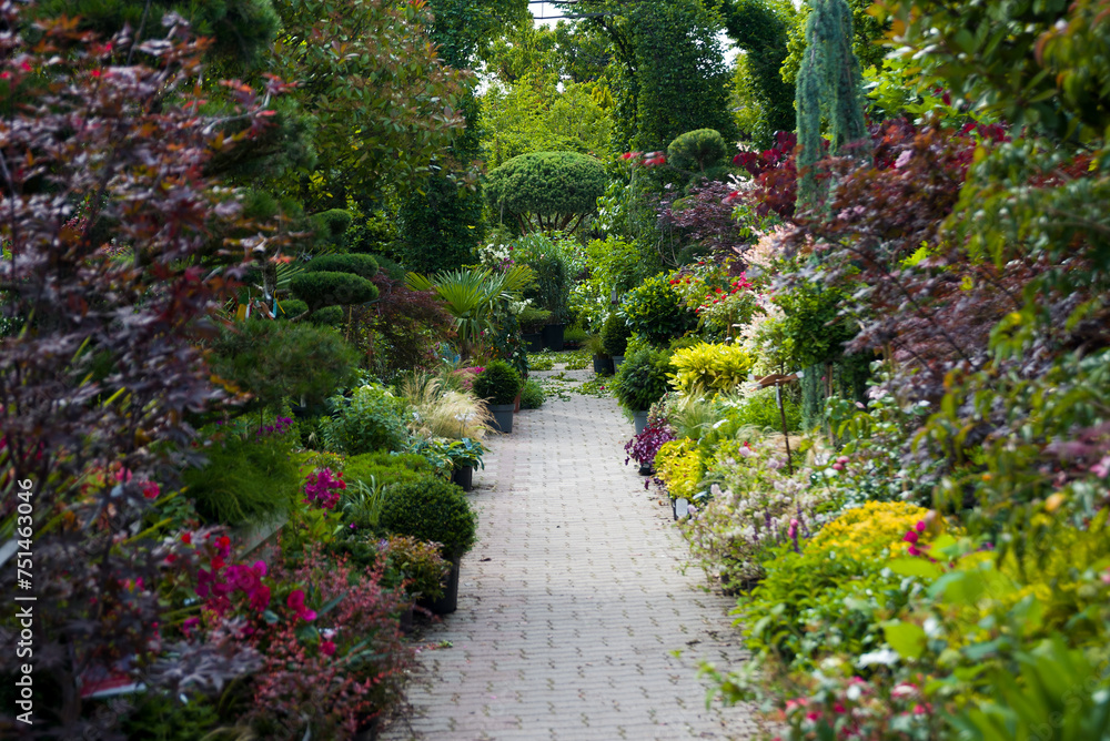 Path in a flowering garden