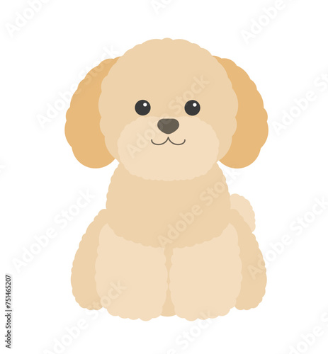 トイプードルのかわいいシンプルなイラスト、正面を向いて座る犬