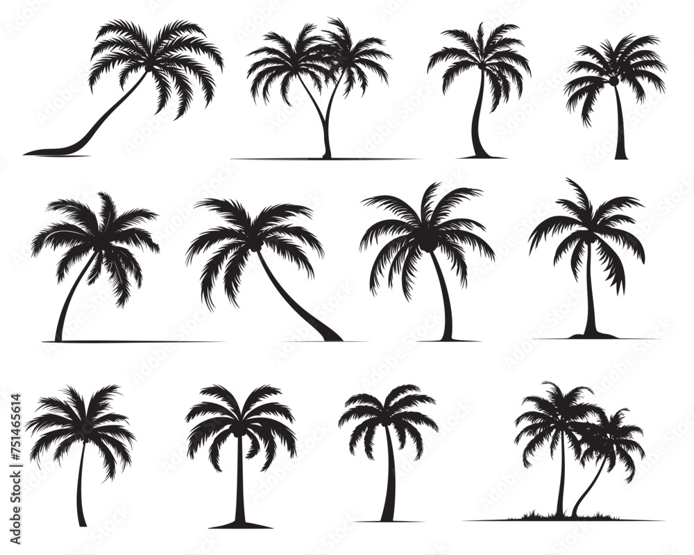 palm tree silhouettes. vector illustration
