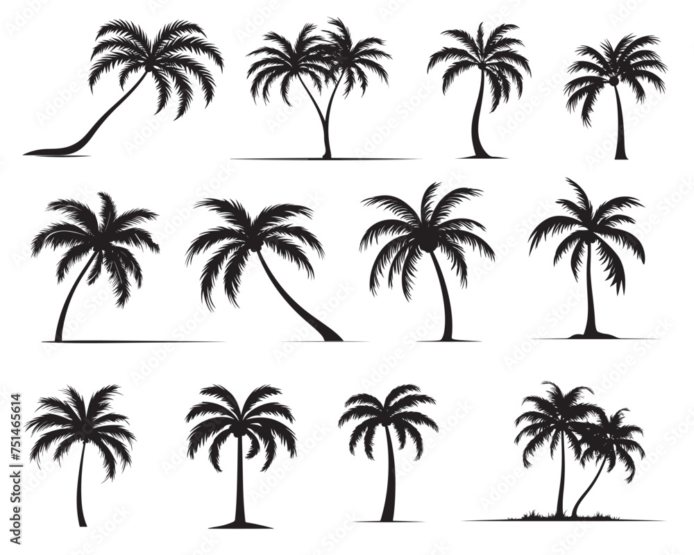 palm tree silhouettes. vector illustration palm tree silhouettes. vector illustration
