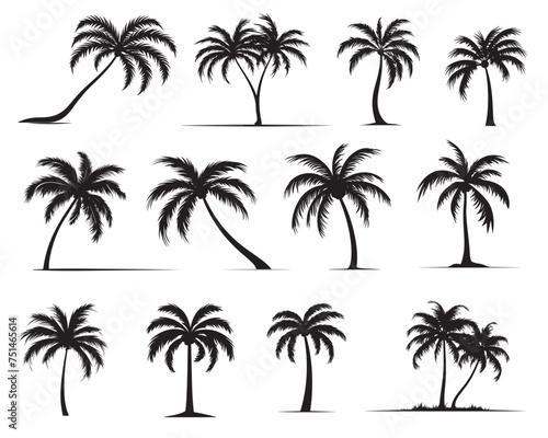 palm tree silhouettes. vector illustration © tarek
