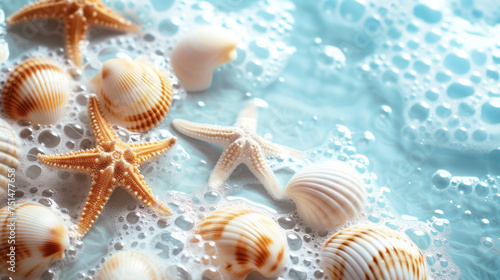 Starfish, shell on the sand on the beach and blue sea. Summer sea background, copy space. Vacation by the sea concept.