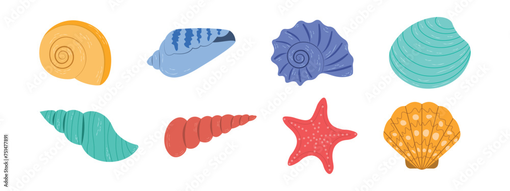 Set of colored sea shells, starfish, sea snails, illustration of sea shells on a white background.