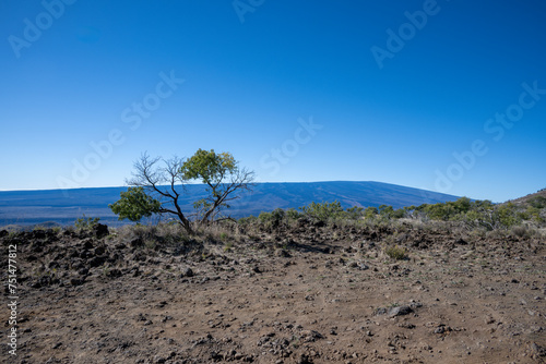 Landscape at 9000 feet above sea level near Mauna Kea in Big Island Hawaii  © Guy