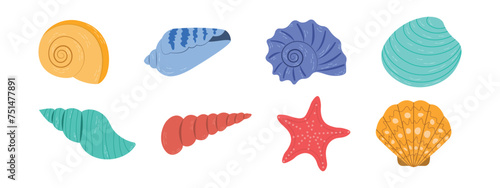 Set of colored sea shells, starfish, sea snails, illustration of sea shells on a white background.