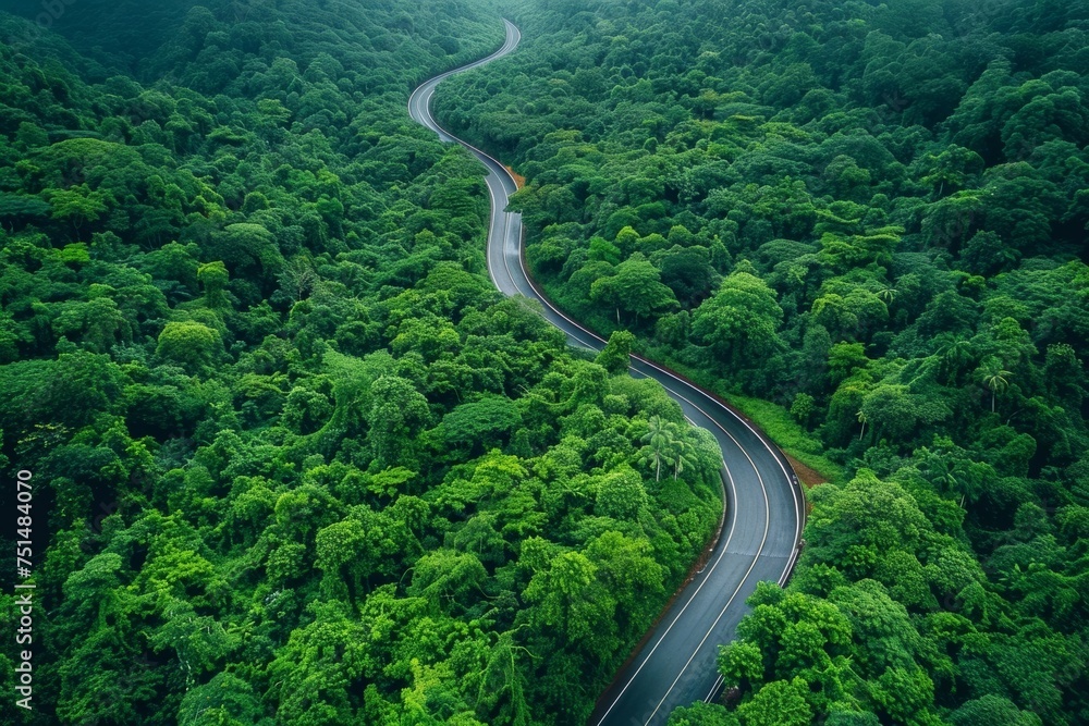Stunning bird's eye view of a winding forest road surrounded by lush greenery after a refreshing rainfall. Stunning bird's eye view of a winding forest road surrounded by lush greenery after a refreshing rainfall.