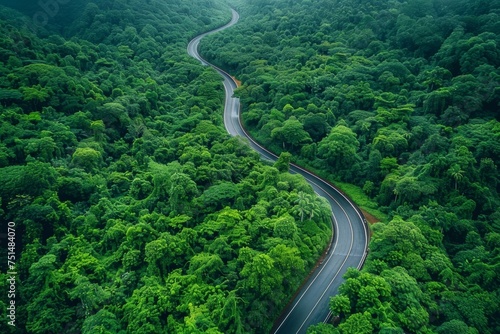 Stunning bird's eye view of a winding forest road surrounded by lush greenery after a refreshing rainfall.
