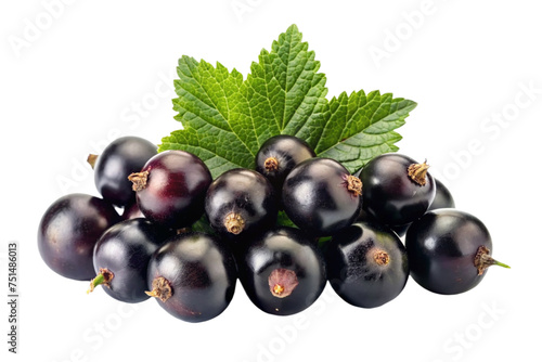 blackcurrant fruit on a transparent background photo