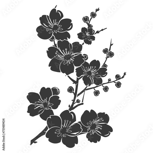 Silhouette Cherry blossoms or sakura flower black color only