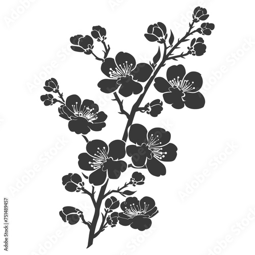 Silhouette Cherry blossoms or sakura flower black color only